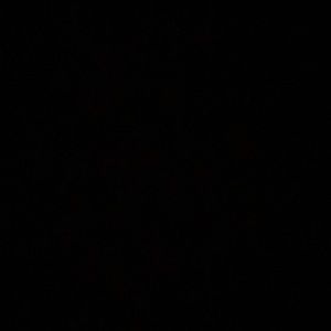 Meet your Posher, Lesley